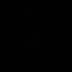 Meet your Posher, Keyse